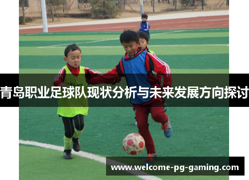 青岛职业足球队现状分析与未来发展方向探讨