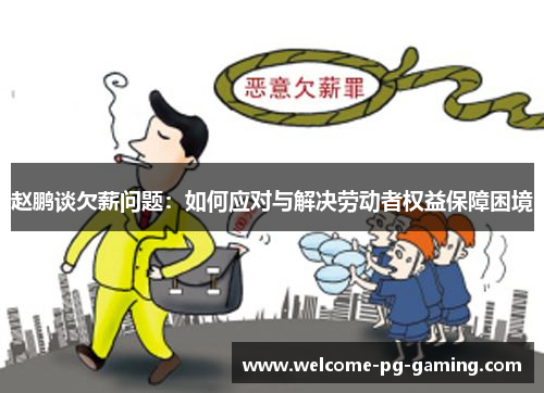 赵鹏谈欠薪问题：如何应对与解决劳动者权益保障困境